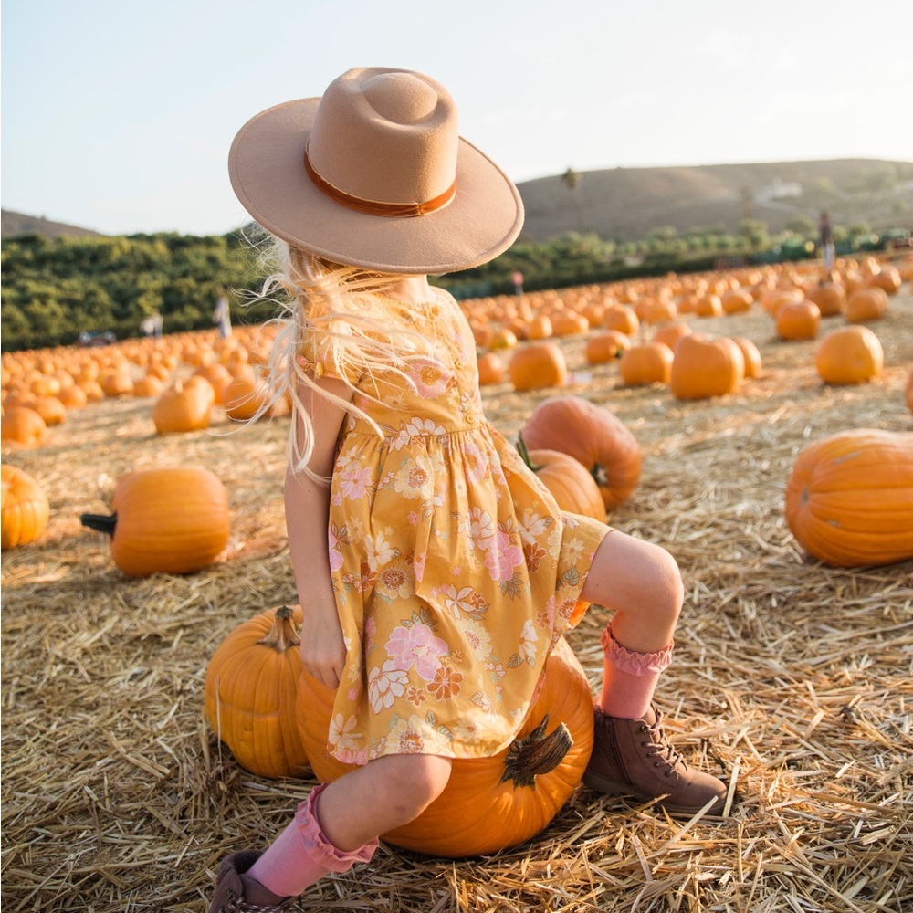 5t Osh Gosh Fall Dress Like new